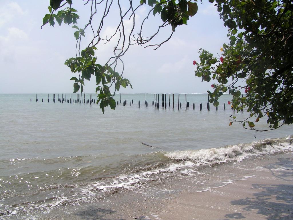 Cabinas Algebra Cahuita Luaran gambar
