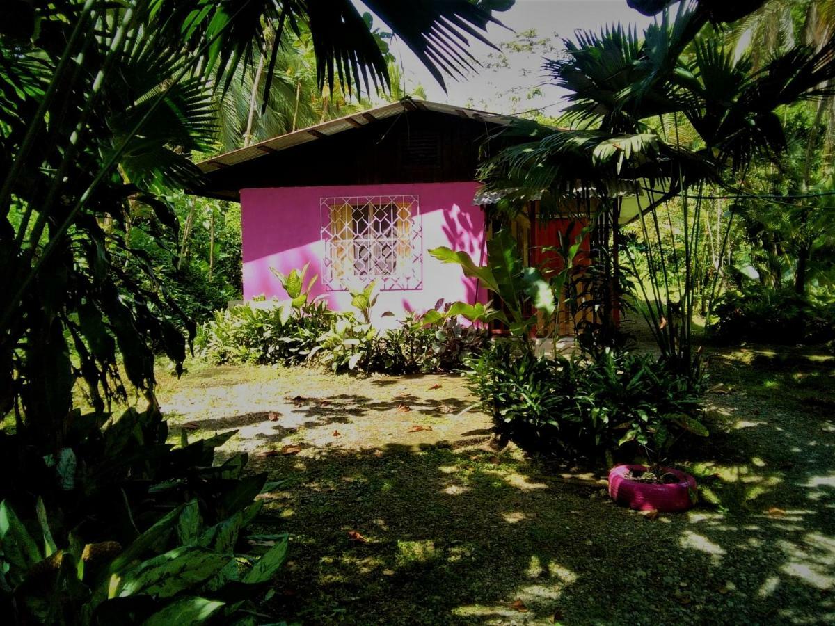 Cabinas Algebra Cahuita Luaran gambar