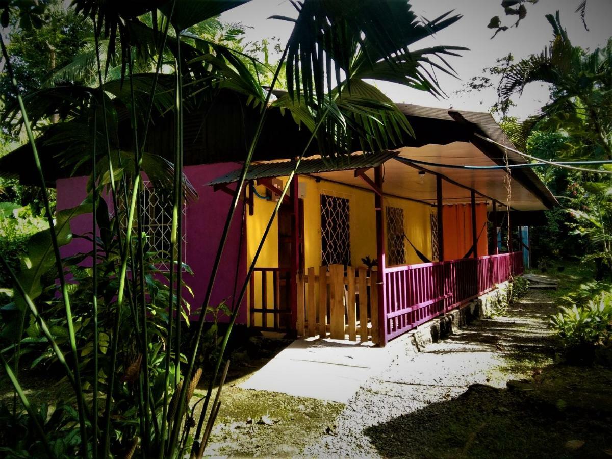 Cabinas Algebra Cahuita Luaran gambar