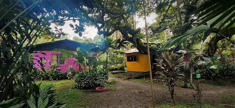 Cabinas Algebra Cahuita Luaran gambar